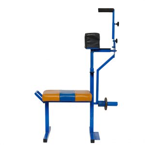 shoulder rehab 1