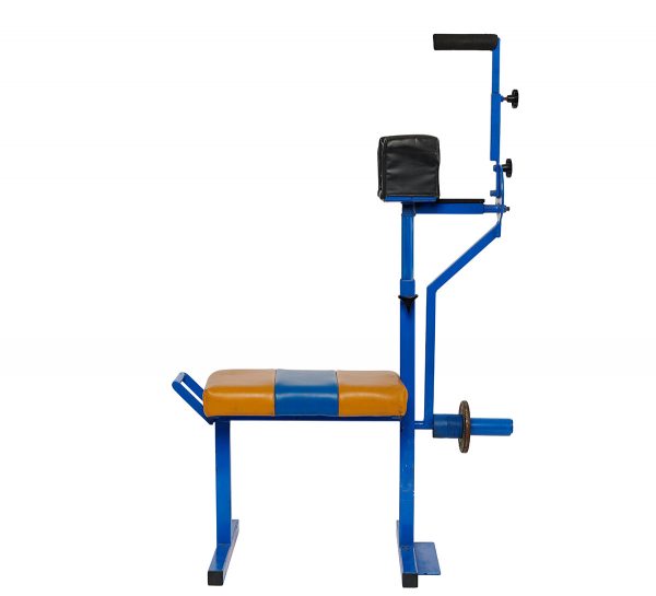 shoulder rehab 1